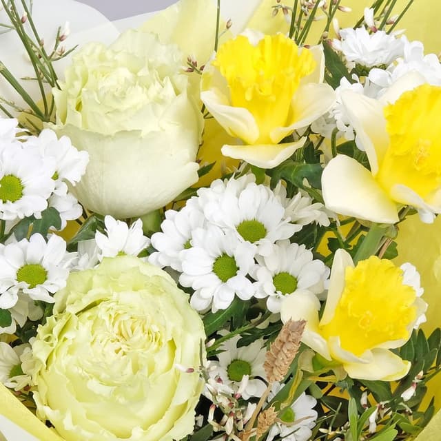 Букет из Нарцисса, Хризантем и Роз «Солнышко» Букет из Нарцисса, Хризантем и Роз «Солнышко»