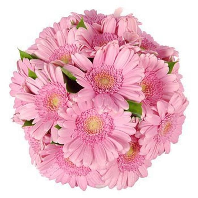 Композиция из Гербер в вазе «Гербера Розовая» Композиция из Гербер в вазе «Гербера Розовая»