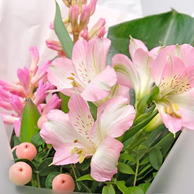 Букет из Гиацинтов и Альстромерий «Розовая Звездочка» Букет из Гиацинтов и Альстромерий «Розовая Звездочка»