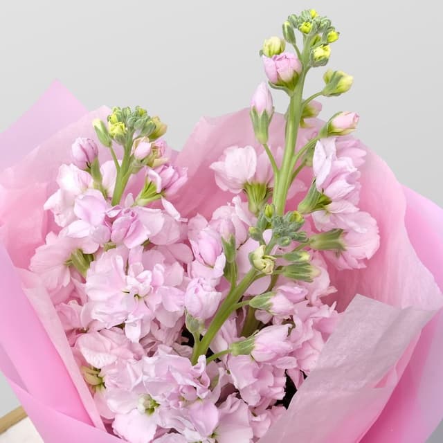 Букет Маттиол «Розовый зефир» Букет Маттиол «Розовый зефир»