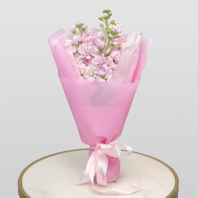 Букет Маттиол «Розовый зефир» Букет Маттиол «Розовый зефир»