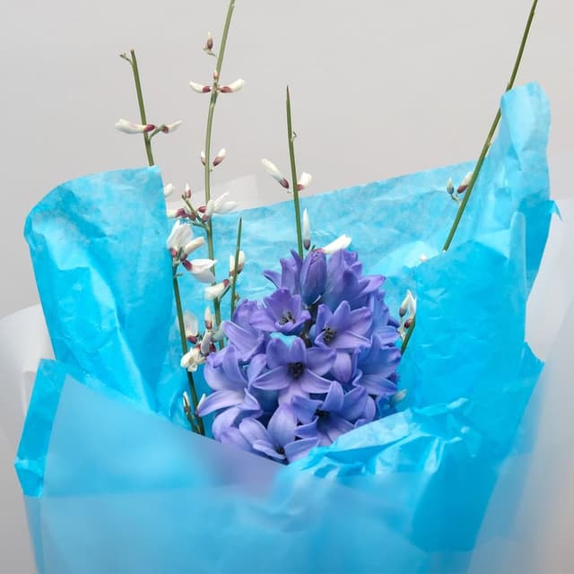 Букет Гиацинтов «Синяя Фантазия» Букет Гиацинтов «Синяя Фантазия»