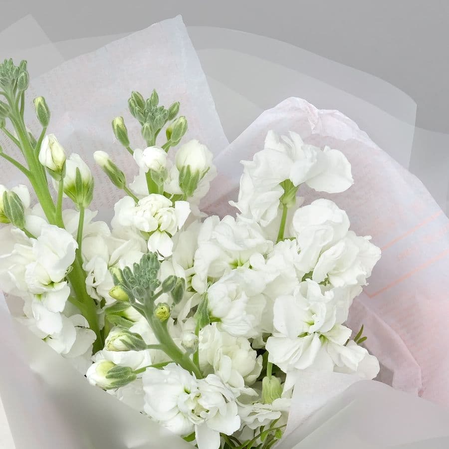 Букет Маттиол «Белый Туман»