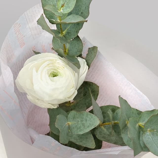 Букет из Ранункулюсов «Серебряный Звон» Букет из Ранункулюсов «Серебряный Звон»