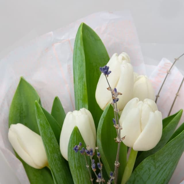 Букет из Тюльпанов «Ароматное Настроение» Букет из Тюльпанов «Ароматное Настроение»