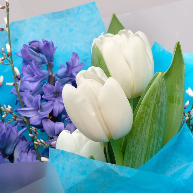 Букет из Тюльпанов и Гиацинтов «Небесный шепот» Букет из Тюльпанов и Гиацинтов «Небесный шепот»