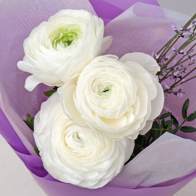 Букет из Ранункулюсов «Летний Рассвет» Букет из Ранункулюсов «Летний Рассвет»