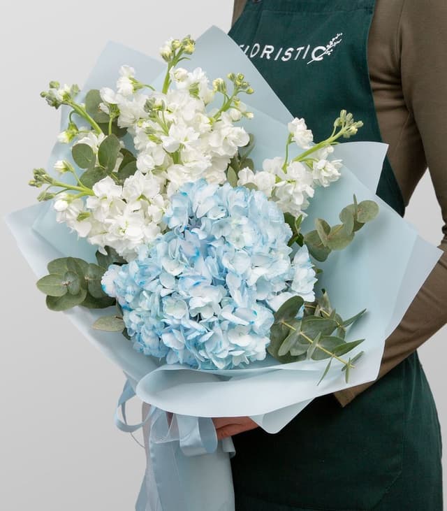 Букет из Гортензии и Маттиолы «Весенний вихрь» Букет из Гортензии и Маттиолы «Весенний вихрь»