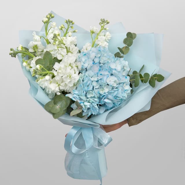 Букет из Гортензии и Маттиолы «Весенний вихрь» Букет из Гортензии и Маттиолы «Весенний вихрь»