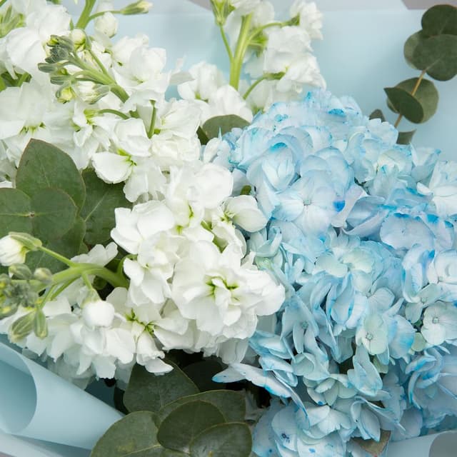 Букет из Гортензии и Маттиолы «Весенний вихрь» Букет из Гортензии и Маттиолы «Весенний вихрь»