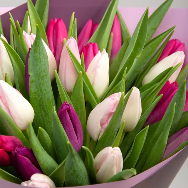 Букет из Тюльпанов «Ощущение счастья» Букет из Тюльпанов «Ощущение счастья»