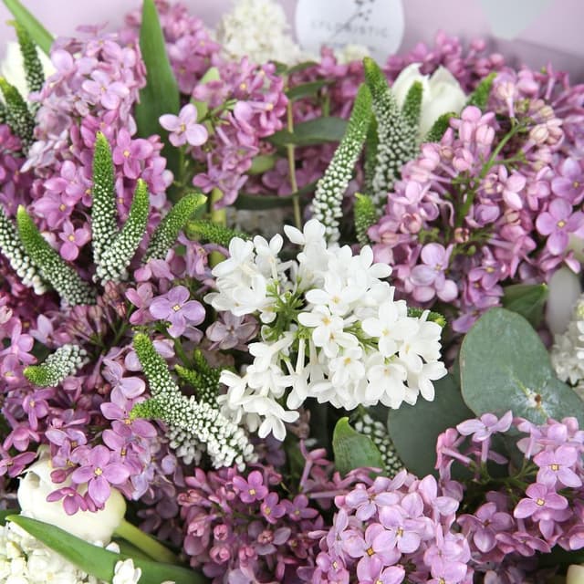 Букет из Сирени и Тюльпанов «Сиреневый вихрь» Букет из Сирени и Тюльпанов «Сиреневый вихрь»