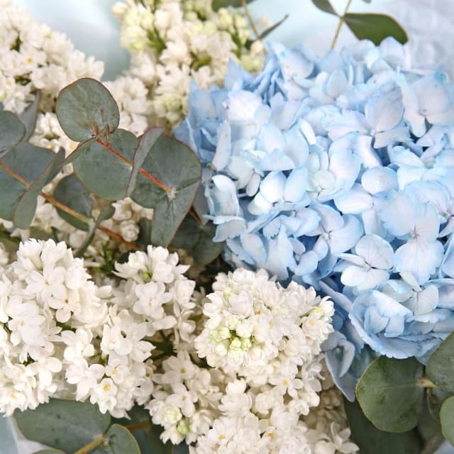 Букет из Сирени и Гортензии «Волна нежности» Букет из Сирени и Гортензии «Волна нежности»