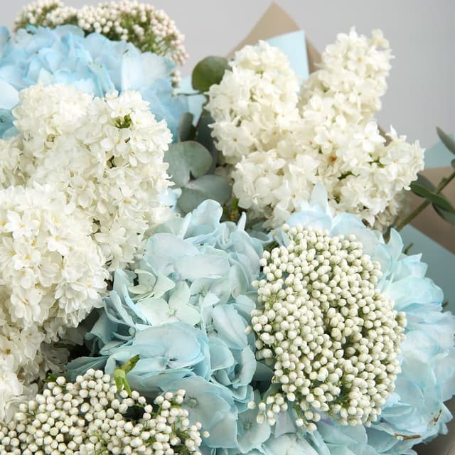 Букет из Сирени, Гортензии и Озотамнуса «В мечтах» Букет из Сирени, Гортензии и Озотамнуса «В мечтах»