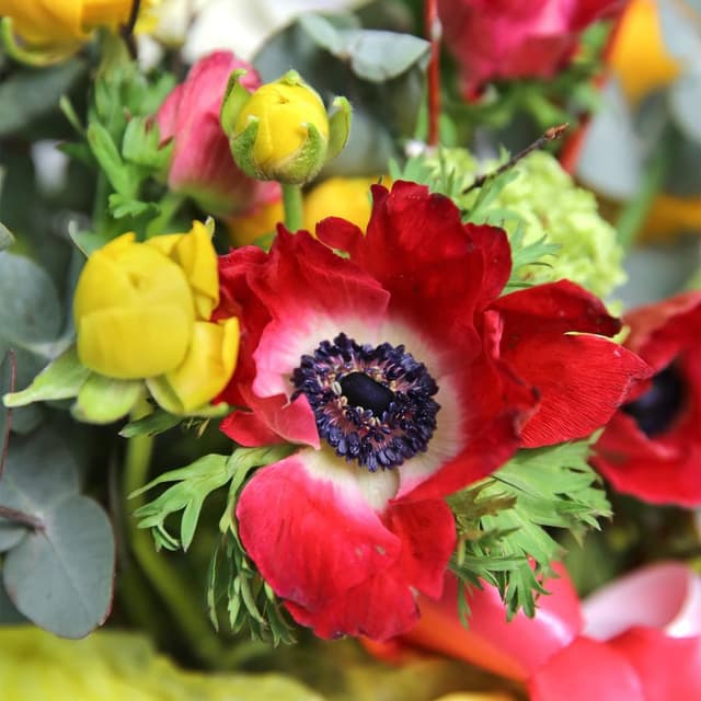 Пасхальная композиция из Анемонов, Нарциссов и Вербы «Пасхальная сказка» Пасхальная композиция из Анемонов, Нарциссов и Вербы «Пасхальная сказка»