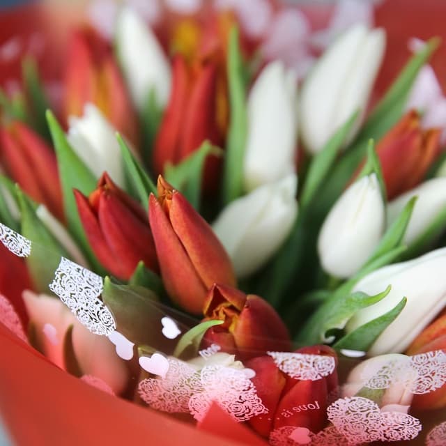 Букет Тюльпанов «Муза любви» Букет Тюльпанов «Муза любви»