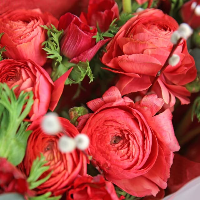 Букет из Ранункулюсов, Анемонов и Вербы «Особый случай» Букет из Ранункулюсов, Анемонов и Вербы «Особый случай»