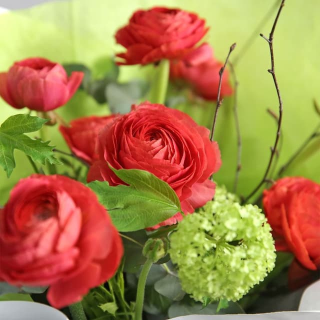 Букет из Ранункулюсов и Вибурнума «Яркое чудо» Букет из Ранункулюсов и Вибурнума «Яркое чудо»