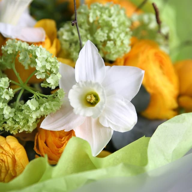 Букет из Ранункулюсов и Нарциссов «Утреннее солнце» Букет из Ранункулюсов и Нарциссов «Утреннее солнце»