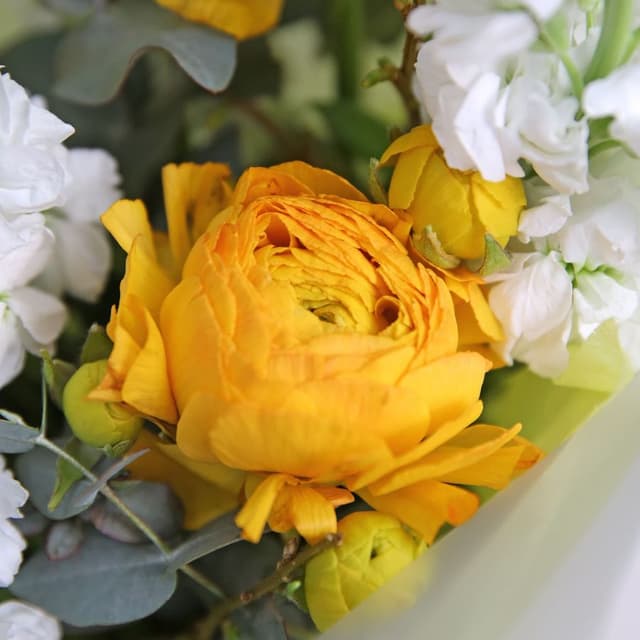 Букет из Ранункулюсов и Маттиолы «Лимончелло» Букет из Ранункулюсов и Маттиолы «Лимончелло»