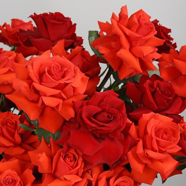 Композиция из Роз Эквадор и Рускуса «Само совершенство» Композиция из Роз Эквадор и Рускуса «Само совершенство»