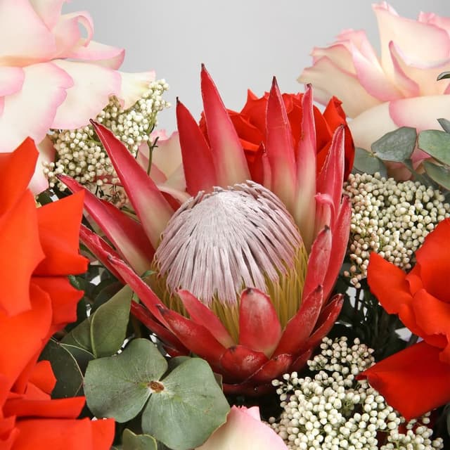 Композиция из Роз Эквадор, Протеи и Озотамнуса «Мираж» Композиция из Роз Эквадор, Протеи и Озотамнуса «Мираж»