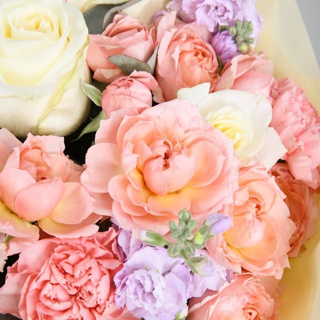 Букет из Роз, Гвоздик и Маттиолы «Твое тепло» Букет из Роз, Гвоздик и Маттиолы «Твое тепло»