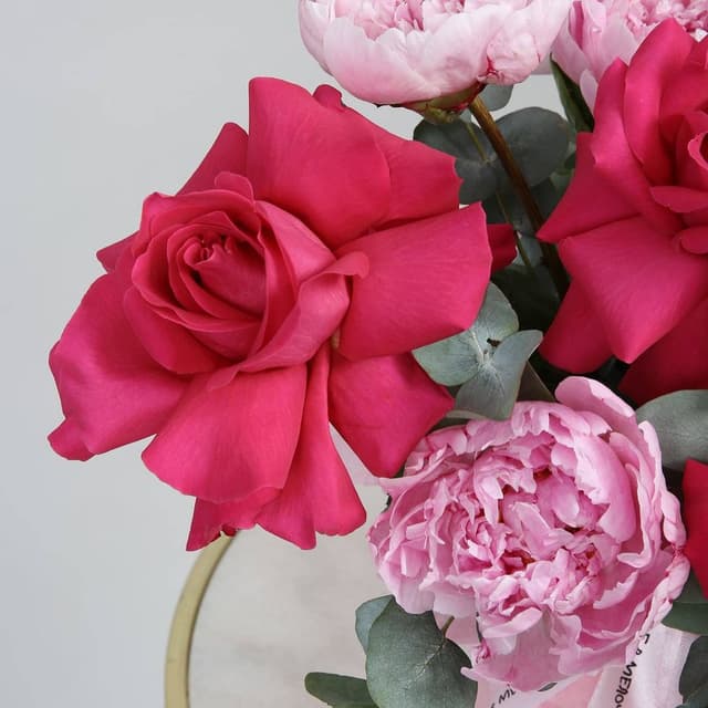 Композиция из Розы Эквадор и Пионов «Грезы Амура» Композиция из Розы Эквадор и Пионов «Грезы Амура»