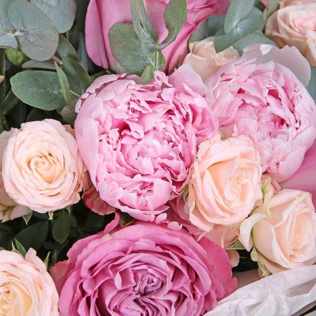 Букет из Пионов и Роз «Утренняя заря» Букет из Пионов и Роз «Утренняя заря»