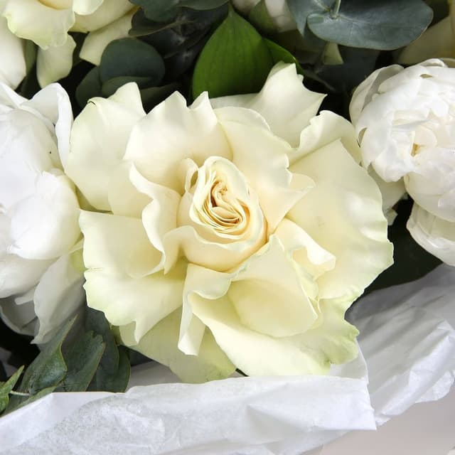 Букет из Пионов и Роз Эквадор «Сияние луны» Букет из Пионов и Роз Эквадор «Сияние луны»