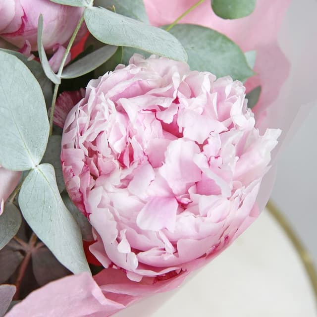 Букет из Пионов и Эвкалипта «Пастельный сон» Букет из Пионов и Эвкалипта «Пастельный сон»