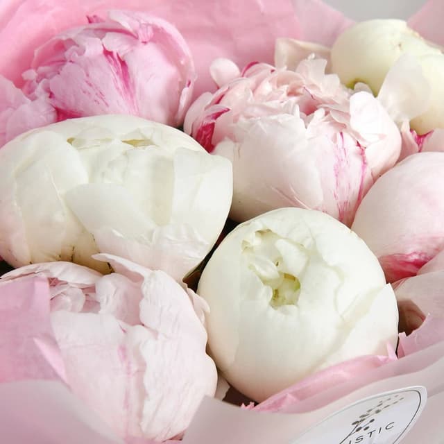 Букет из Пионов «Нежный союз» Букет из Пионов «Нежный союз»