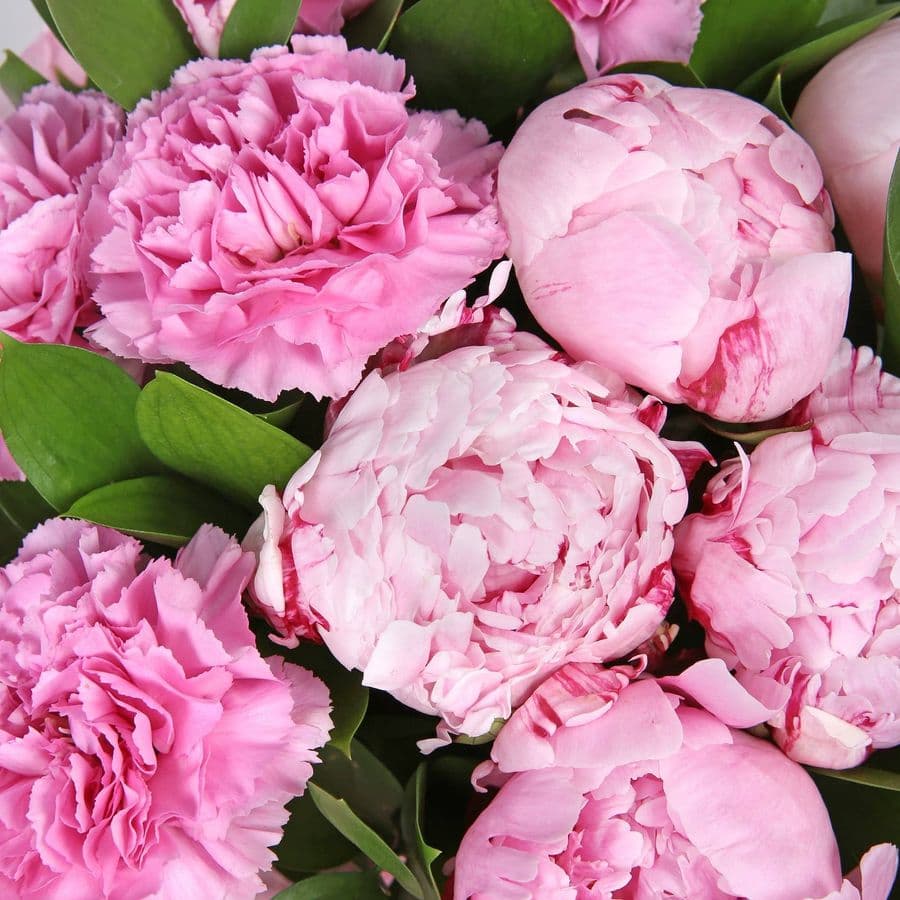 Букет из Пионов и Гвоздики «Розовый туман»