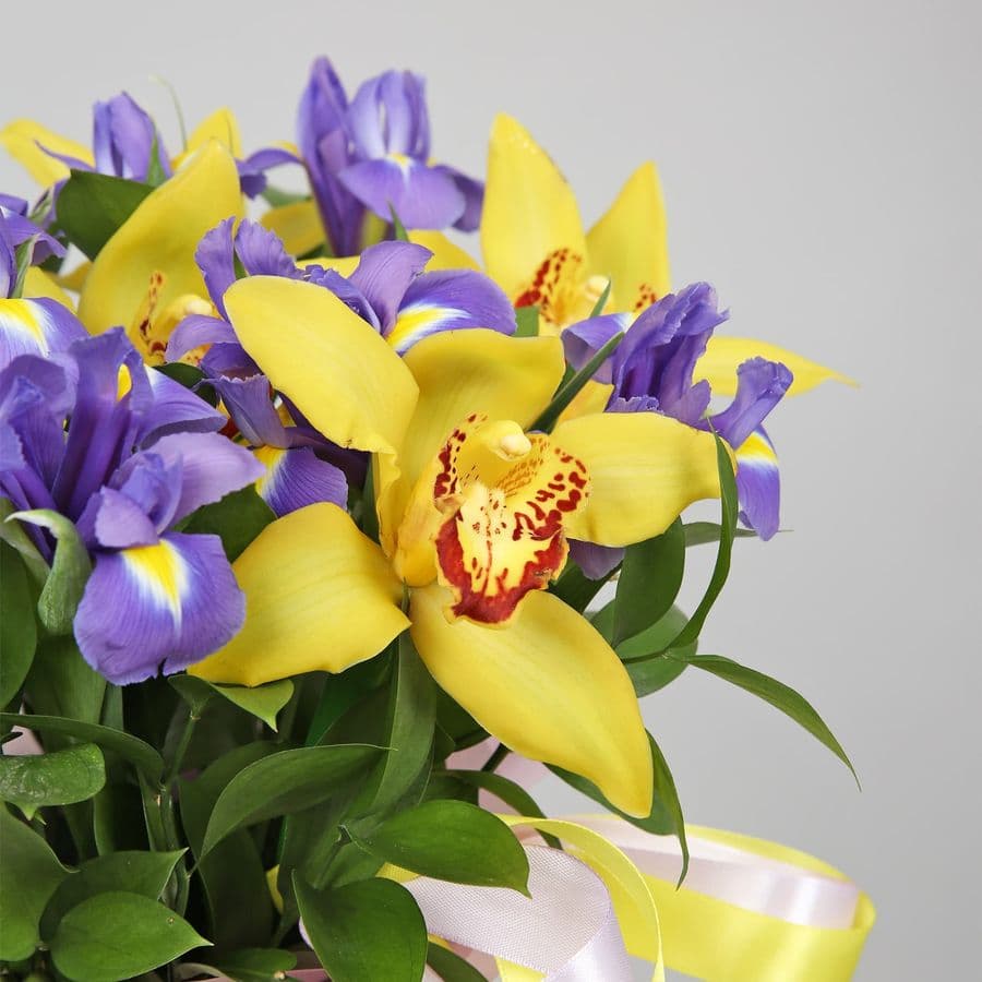 Композиция из Орхидей и Ирисов «Радуга чувств»