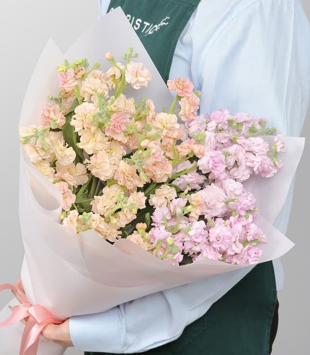 Букет из Кустовых Маттиол 9 шт «Сказочное утро» Букет из Кустовых Маттиол 9 шт «Сказочное утро»