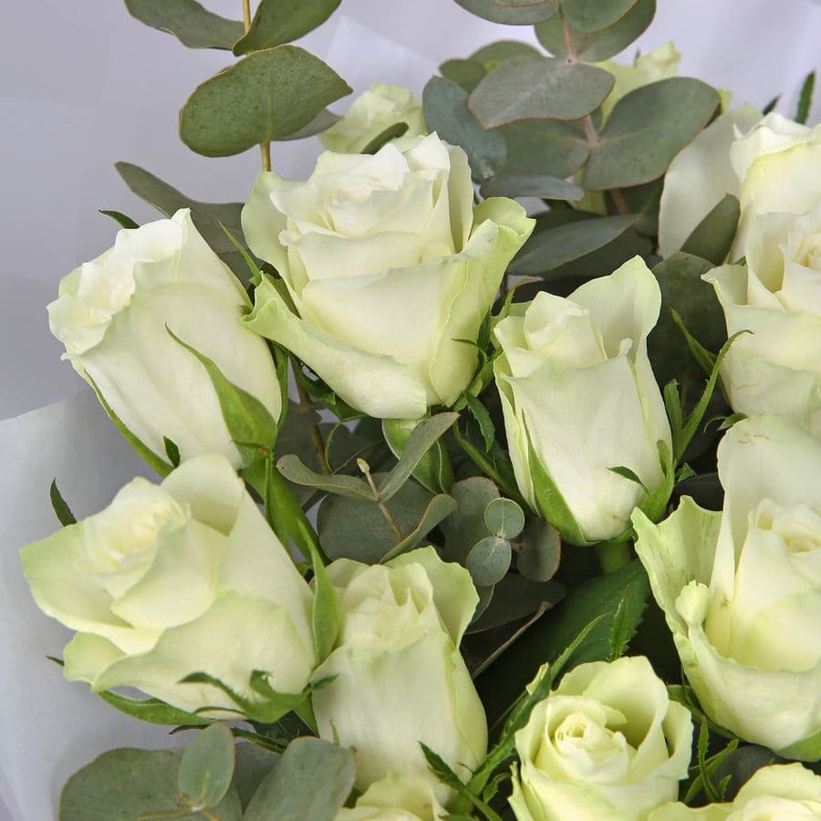 Букет Роз Кения 25 шт «Романс в розах» с эвкалиптом