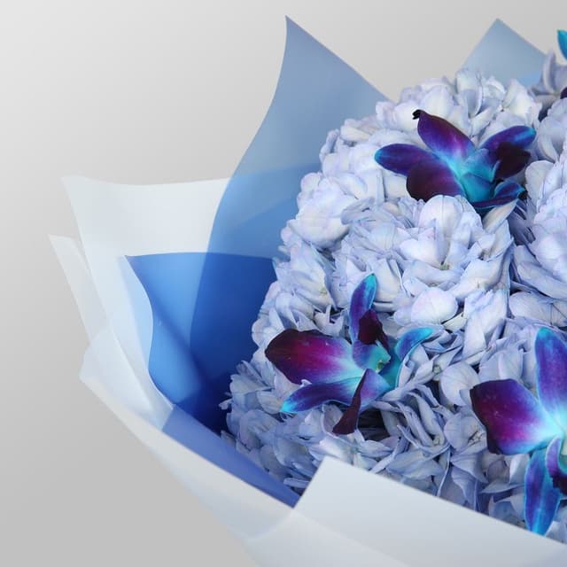 Букет из Гортензий и Орхидей «Фиалковый сон» Букет из Гортензий и Орхидей «Фиалковый сон»