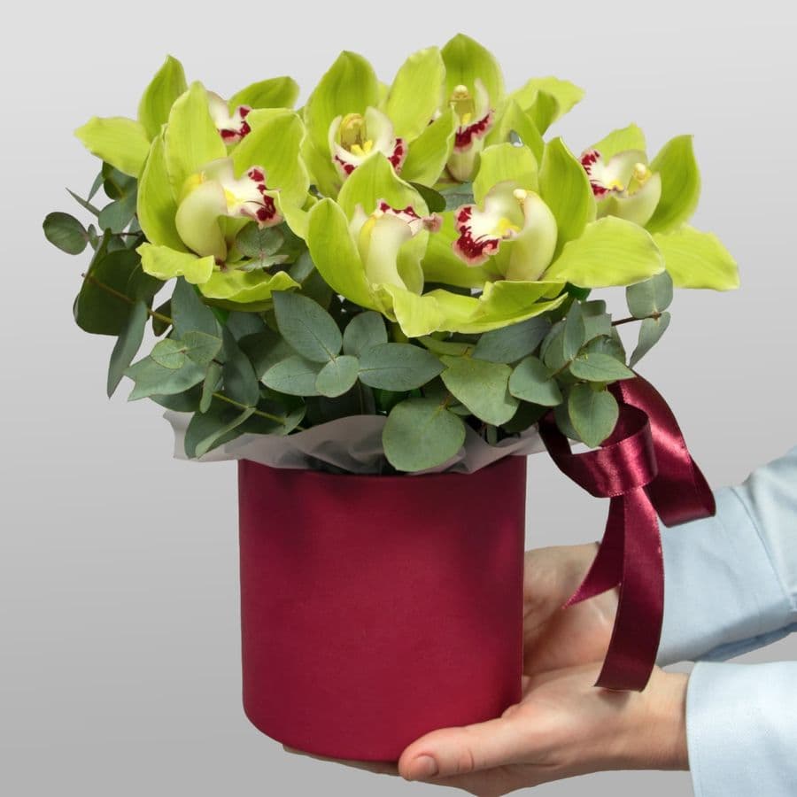 Композиция из Орхидей в шляпной коробке «Зеленый шелк»