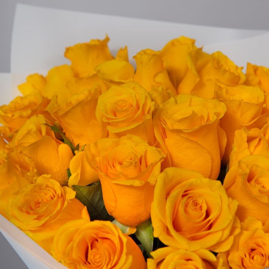 Букет Роз Кения 25 шт «Капелька солнца»