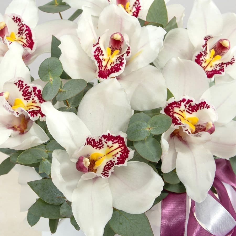 Композиция из Орхидей в шляпной коробке «Лунная орхидея»