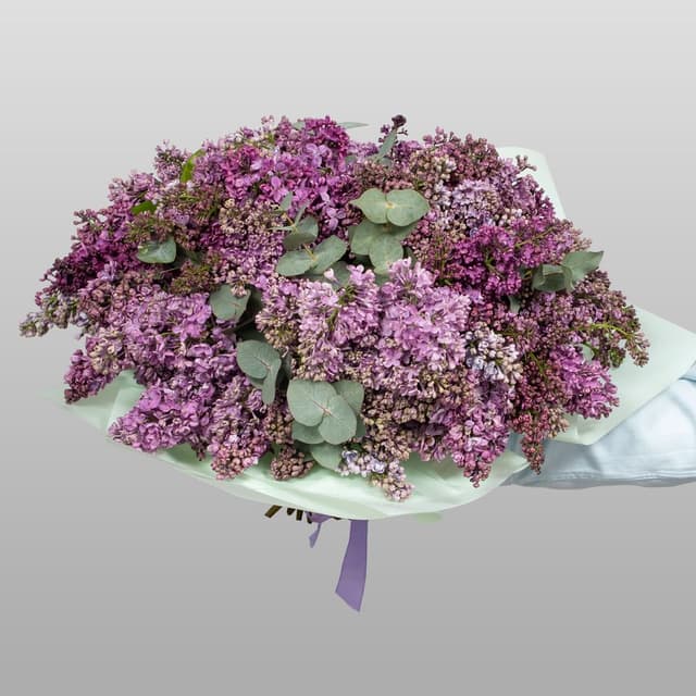 Букет из Сирени «Сказка мая» Букет из Сирени «Сказка мая»