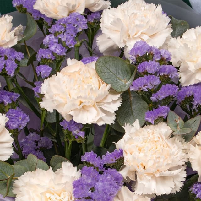 Букет из Диантуса и Статицы «Призрачный Вечер» Букет из Диантуса и Статицы «Призрачный Вечер»