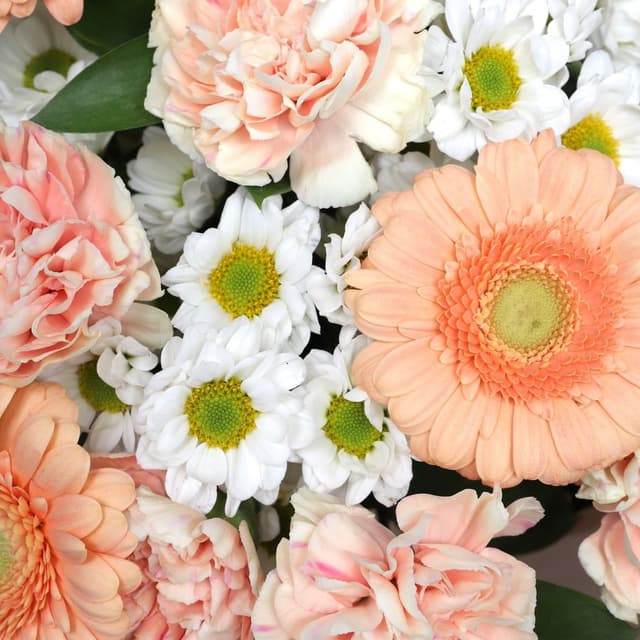 Букет из Гермини, Гвоздик и Хризантем «Персиковое Утро» Букет из Гермини, Гвоздик и Хризантем «Персиковое Утро»