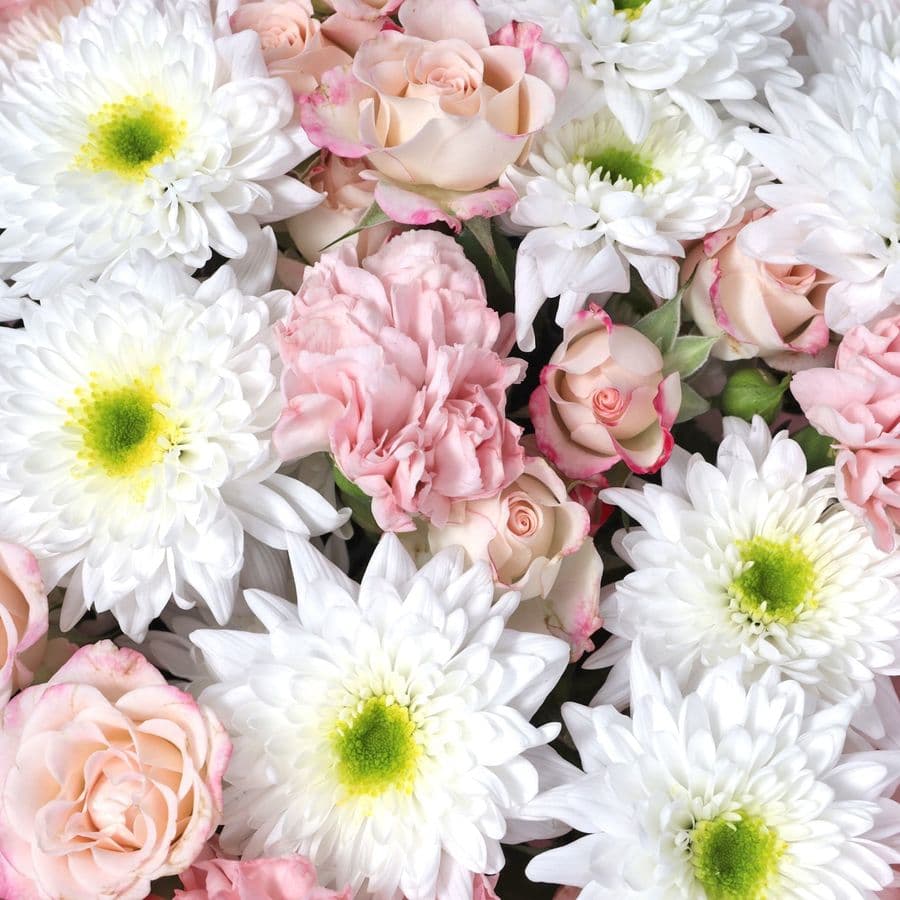 Букет из Гвоздик, Хризантем и Кустовых Роз «Тепло твоих рук»