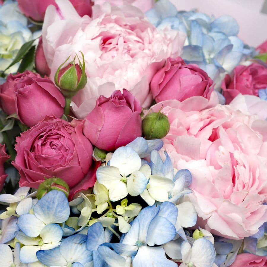 Букет из Пионов, Гортензий и Кустовых Роз «Мгновение красоты»