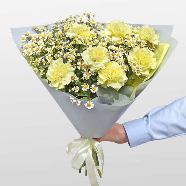 Букет из Гвоздик и Ромашек «Теплый полдень» Букет из Гвоздик и Ромашек «Теплый полдень»
