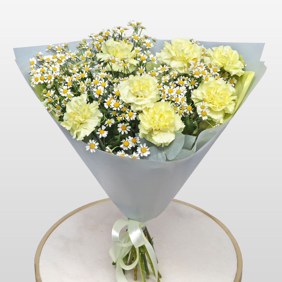 Букет из Гвоздик и Ромашек «Теплый полдень»