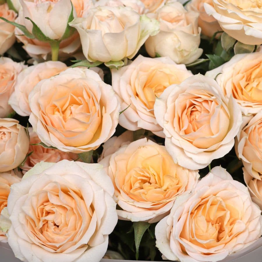 Букет из Кустовых Роз «Письмо весне»