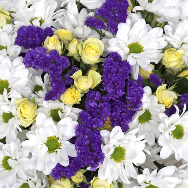 Букет из Кустовых Хризантем и Роз «В красках любви» Букет из Кустовых Хризантем и Роз «В красках любви»