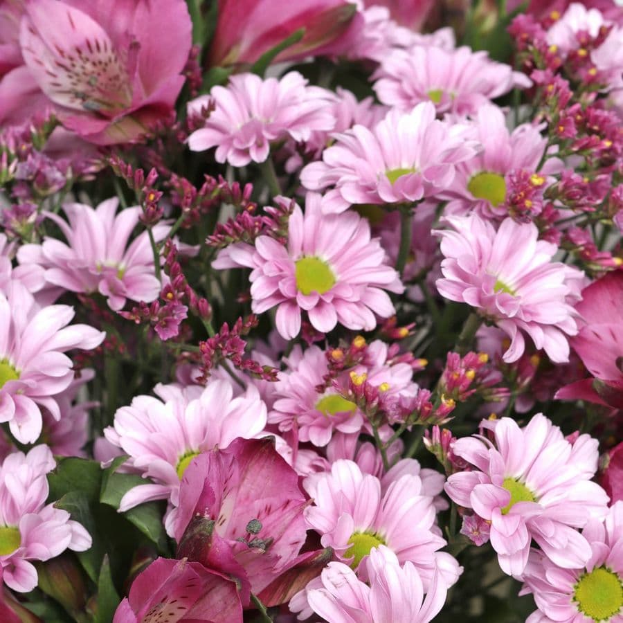 Букет из Альстромерий, Хризантем и Лимониума «Розовая пыльца»